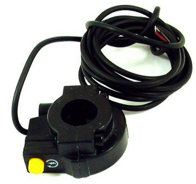 Kill or Starter Switch