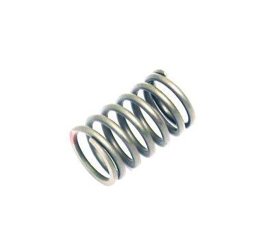 Outer Valve Spring