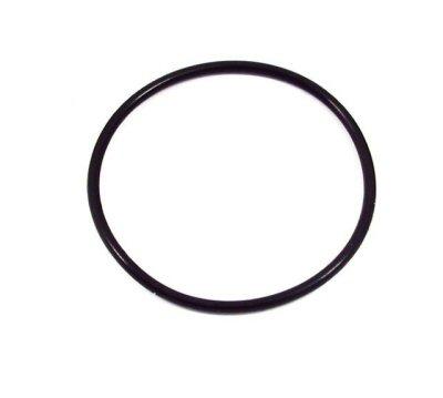 Secondary Spring Seat O-ring