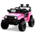Pink / None - $0 / None - $0