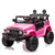 Pink / None - $0 / None - $0