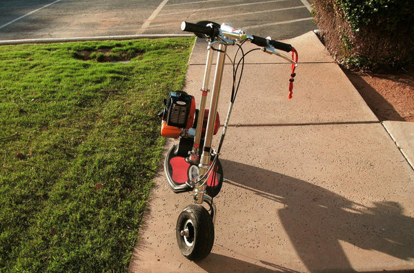 33CC D-Rider Best Gas Scooters With Dual Belt Drive Motor (Bladez Quality)