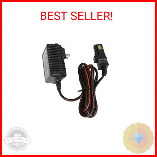12-Volt Charger with Gray and Orange Top Batteries for Power Wheels